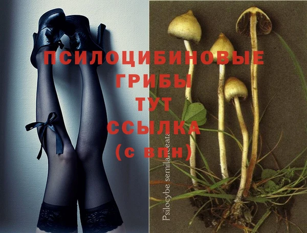твердый Кинешма