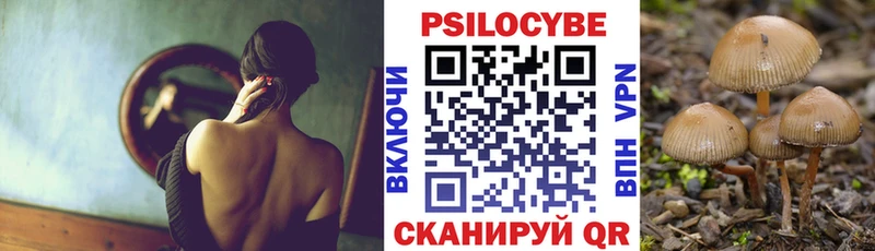 Купить  Болотное  Псилоцибиновые грибы мухоморы 